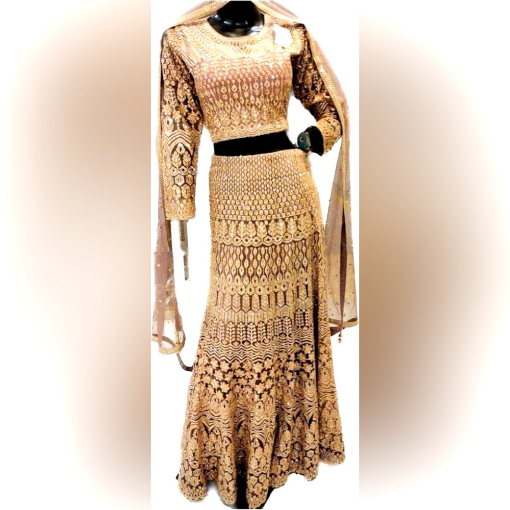 Designer original  Lahanga choli Dupatta Golden net design cut works all over .